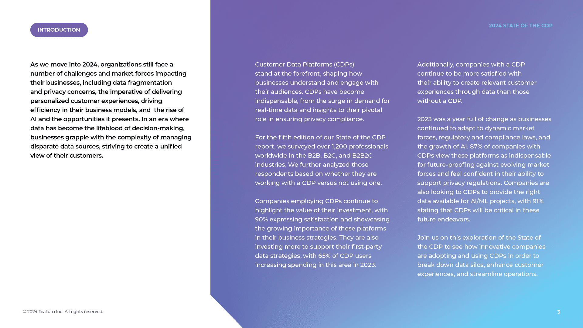 2024 State of the CDP Report - HealthTech Pulse