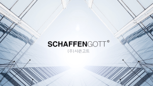 Korean AI Safety Firm Schaffengott Expands European Operations Through Czech Joint Venture