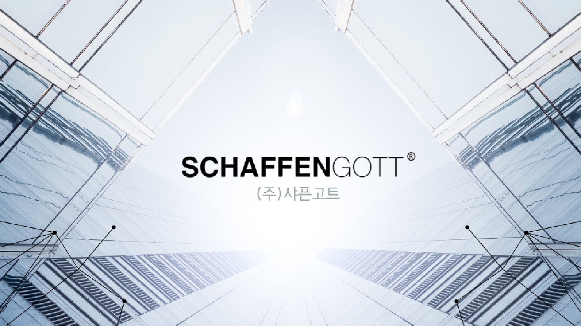 Korean AI Safety Firm Schaffengott Expands European Operations Through Czech Joint Venture